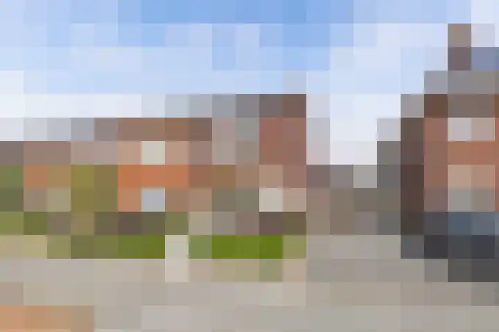 Livingstonehage 23 Emmeloord thumbnail 39