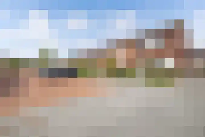 Livingstonehage 23 Emmeloord thumbnail 40