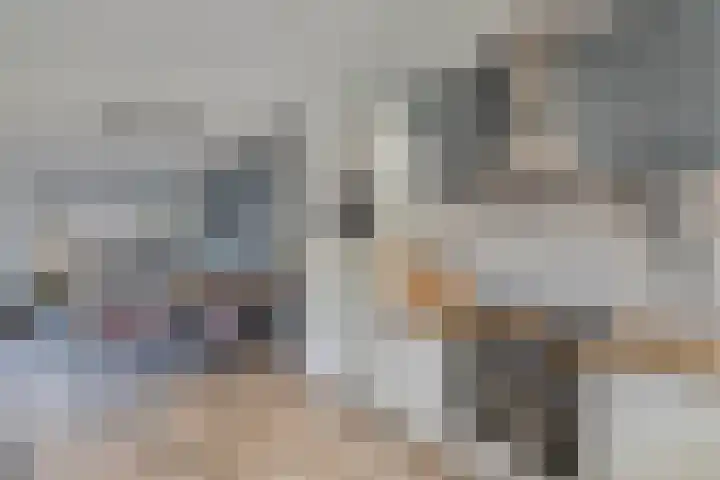 Livingstonehage 23 Emmeloord thumbnail 5