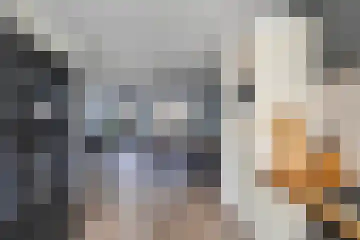 Livingstonehage 23 Emmeloord thumbnail 6