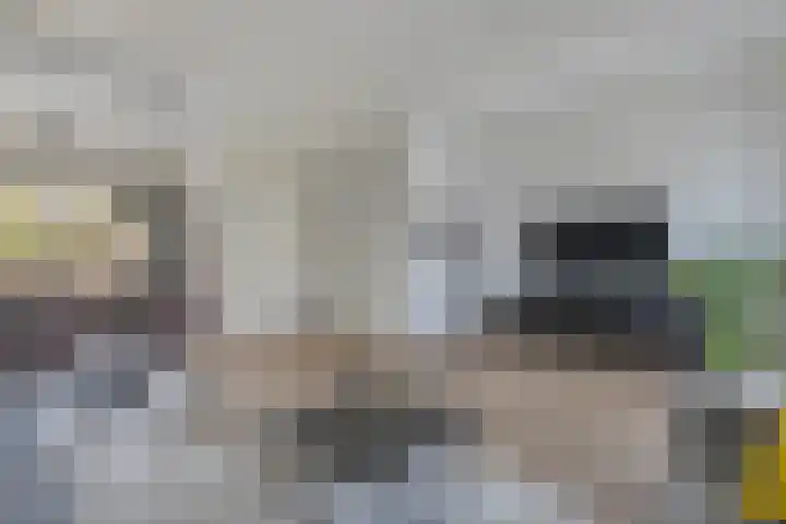 Livingstonehage 23 Emmeloord thumbnail 8