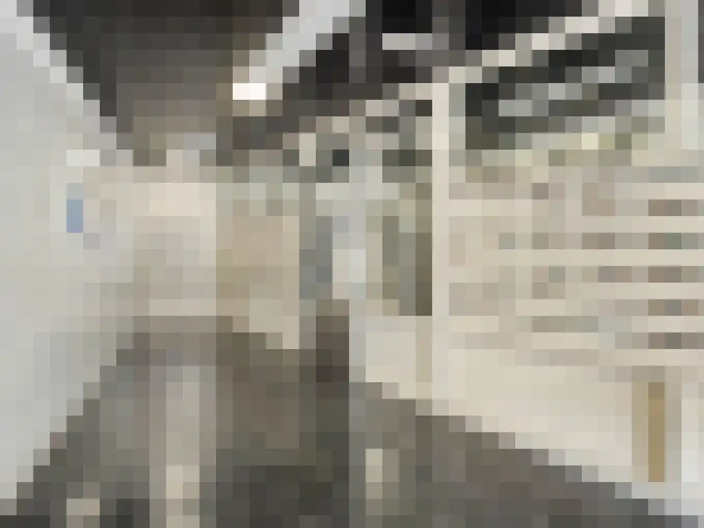 Livingstonelaan 1014 Utrecht thumbnail 13