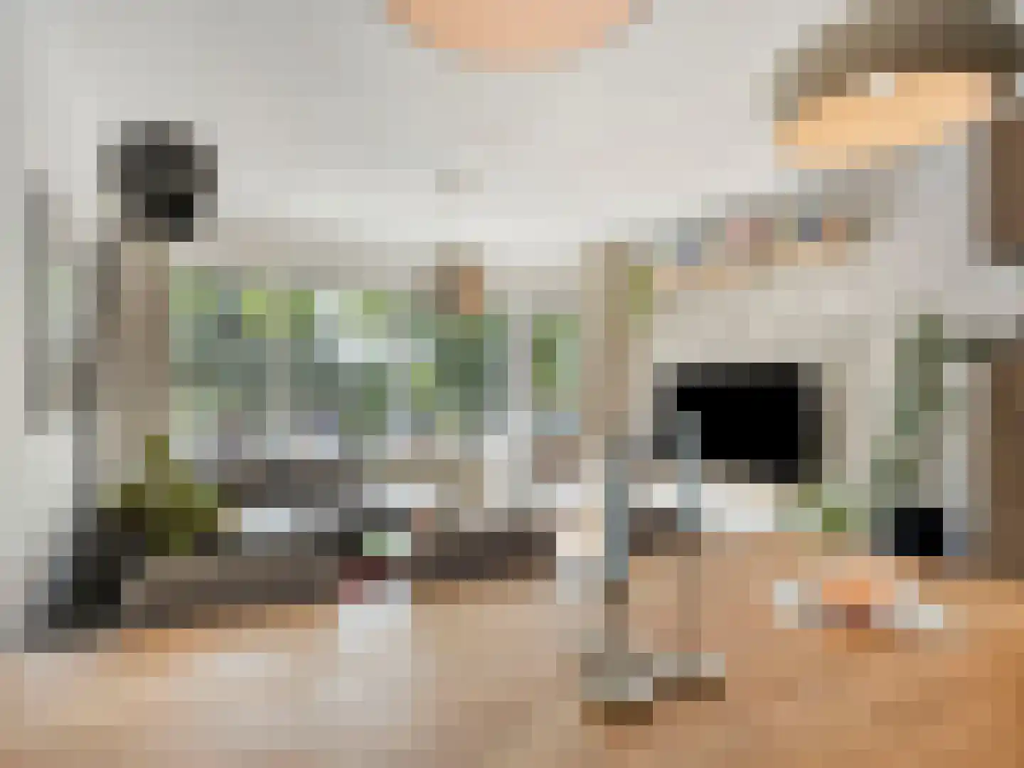 Livingstonelaan 1014 Utrecht thumbnail 18
