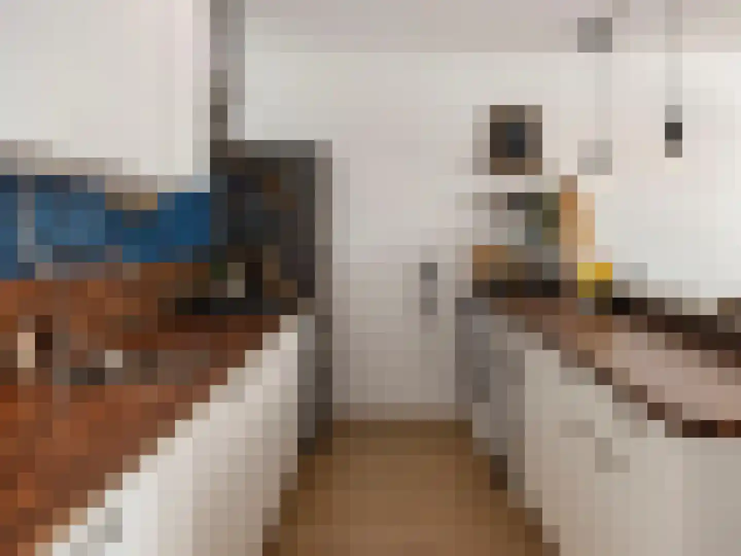 Livingstonelaan 1014 Utrecht thumbnail 24