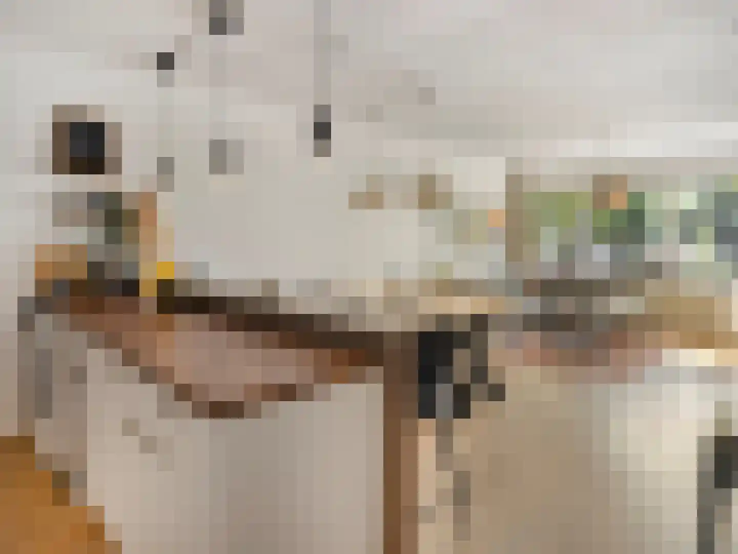 Livingstonelaan 1014 Utrecht thumbnail 25