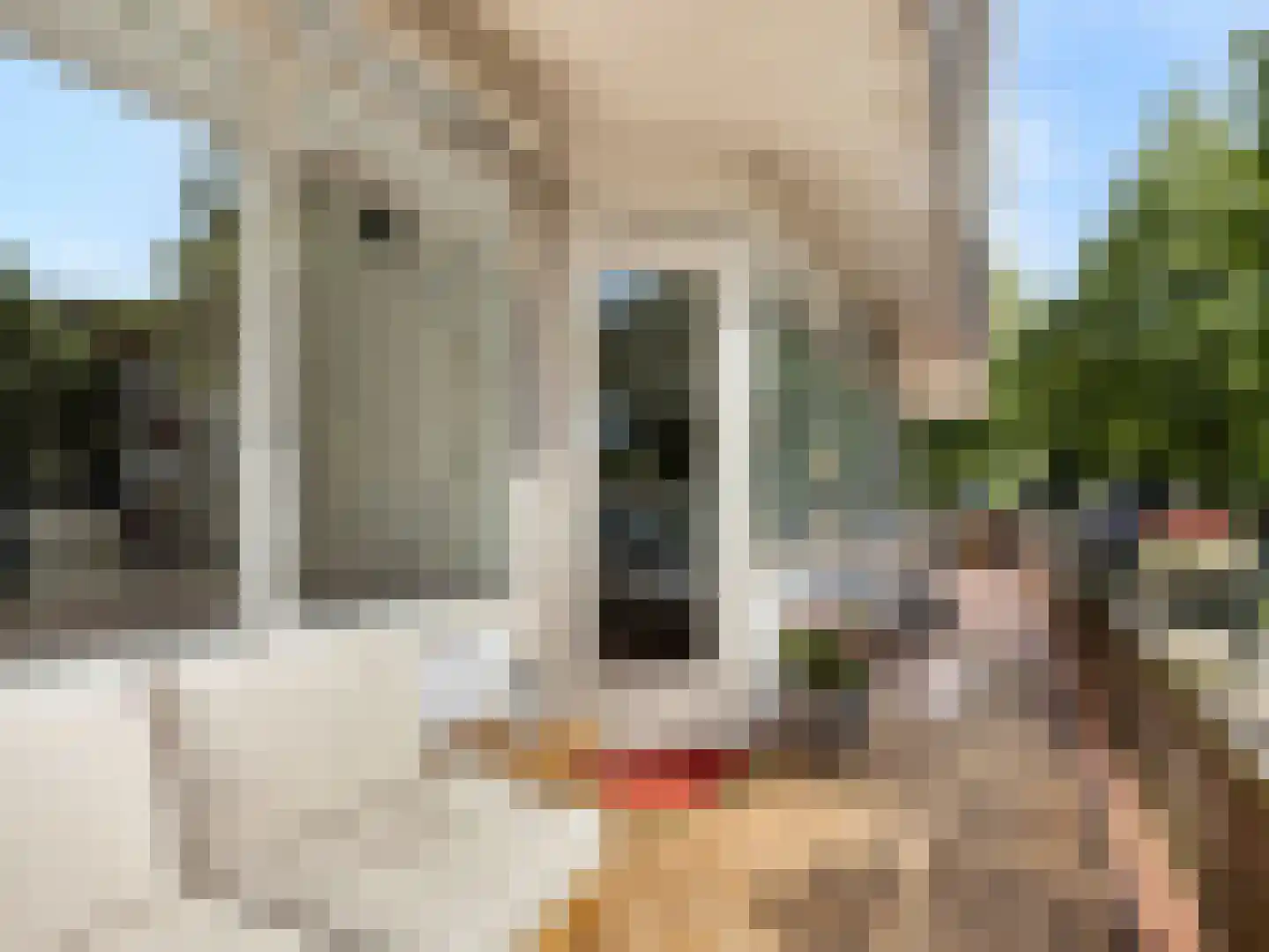 Livingstonelaan 1014 Utrecht thumbnail 5
