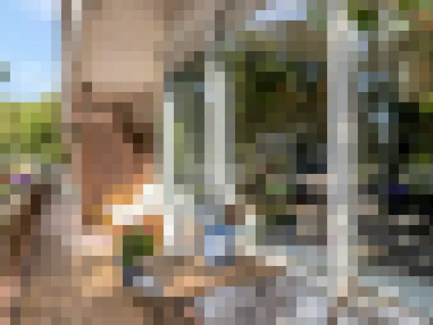Livingstonelaan 1014 Utrecht thumbnail 6