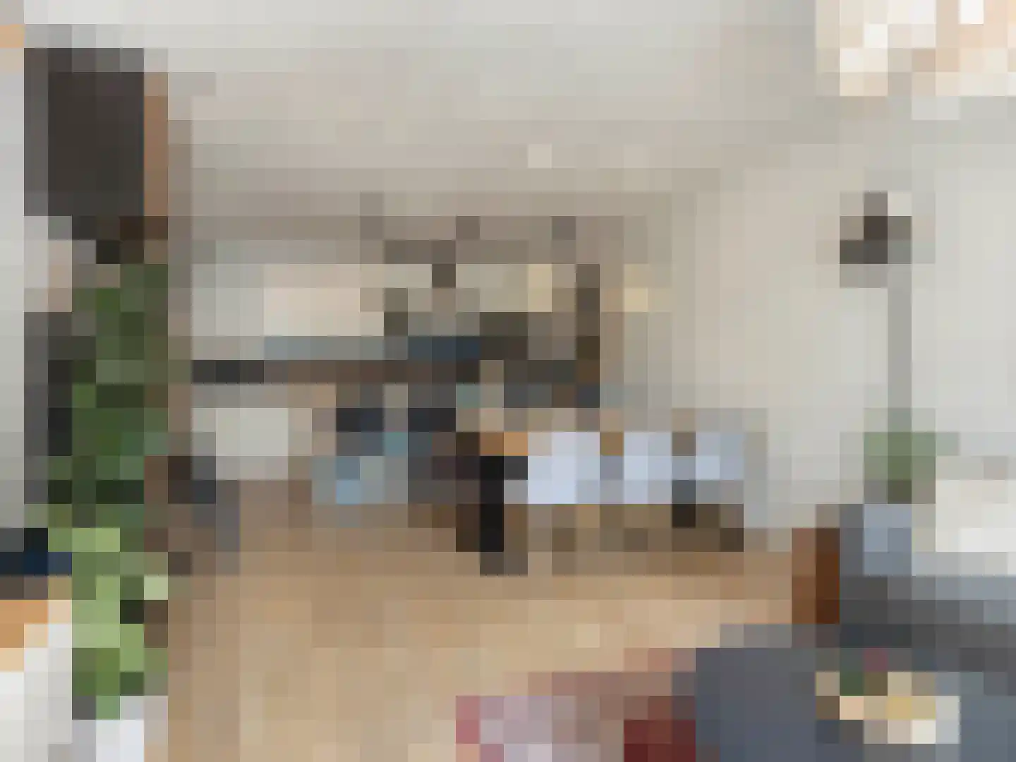 Livingstonelaan 1014 Utrecht thumbnail 7