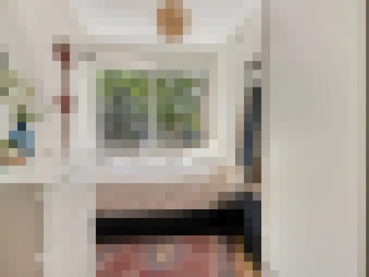 Livingstonelaan 1014 Utrecht thumbnail 9