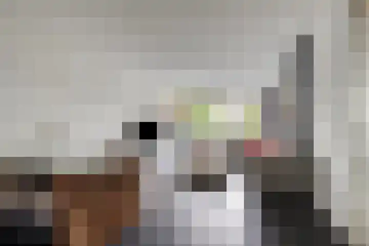 Livingstonelaan 1030 Utrecht thumbnail 10