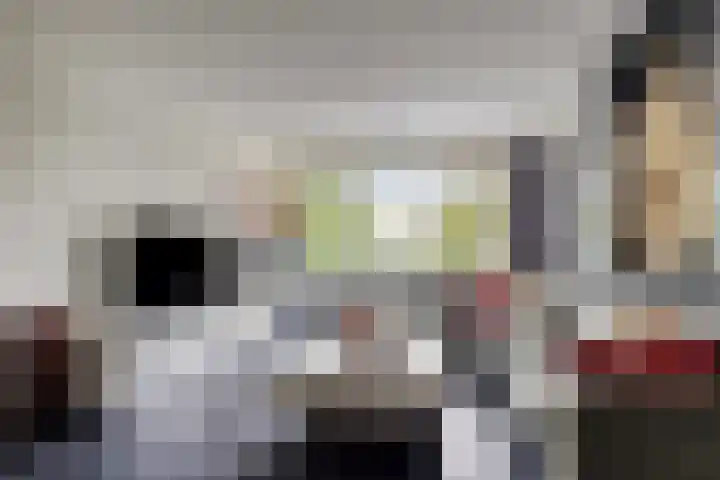 Livingstonelaan 1030 Utrecht thumbnail 11