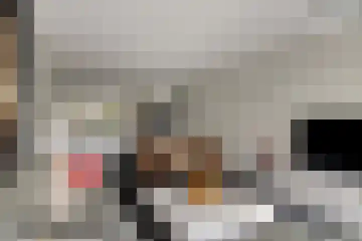 Livingstonelaan 1030 Utrecht thumbnail 13