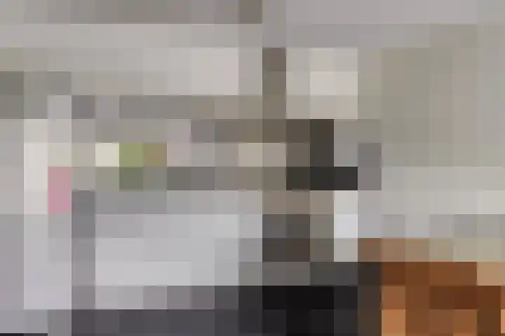 Livingstonelaan 1030 Utrecht thumbnail 14