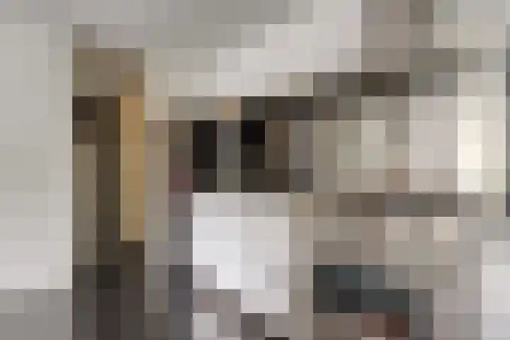 Livingstonelaan 1030 Utrecht thumbnail 15