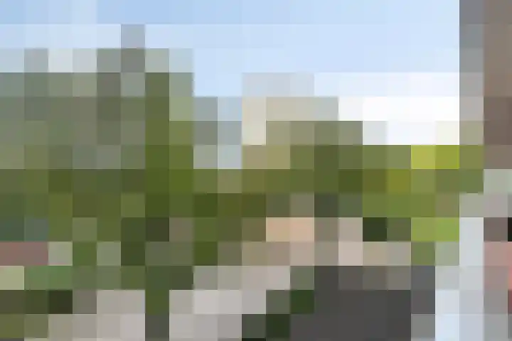 Livingstonelaan 1030 Utrecht thumbnail 20