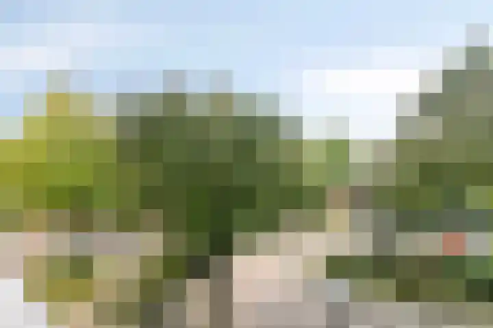 Livingstonelaan 1030 Utrecht thumbnail 21