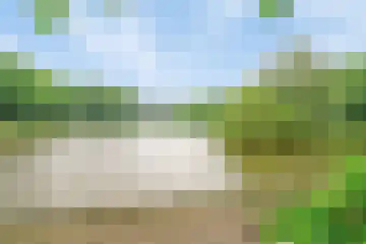 Livingstonelaan 1030 Utrecht thumbnail 24