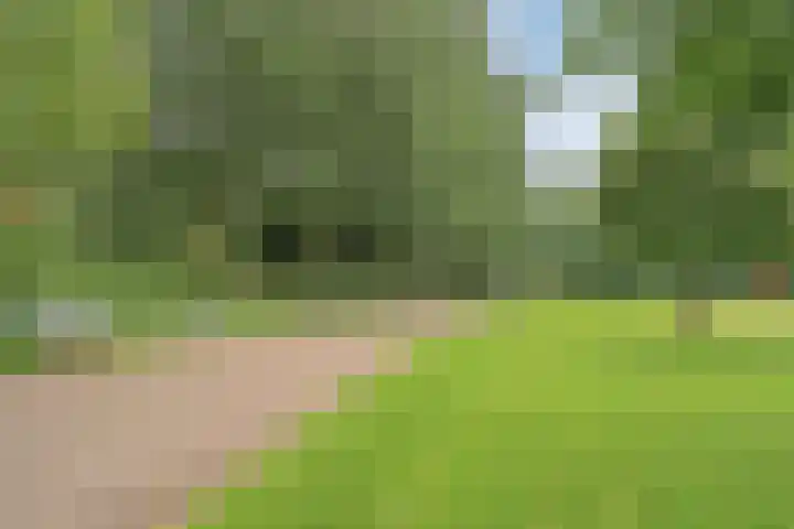 Livingstonelaan 1030 Utrecht thumbnail 25