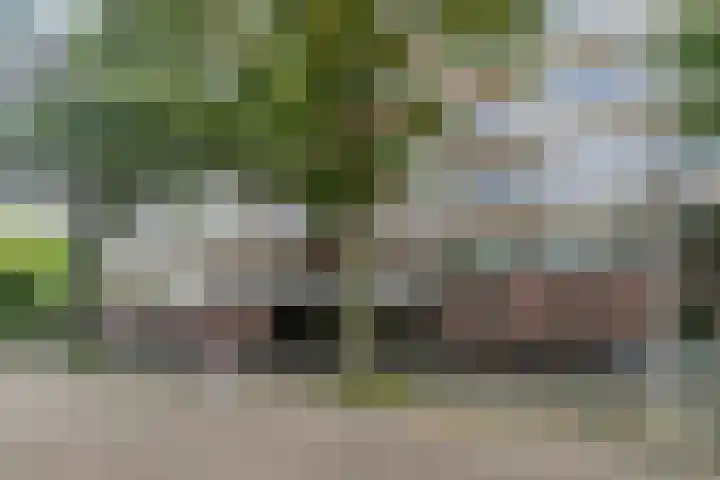 Livingstonelaan 1030 Utrecht thumbnail 6