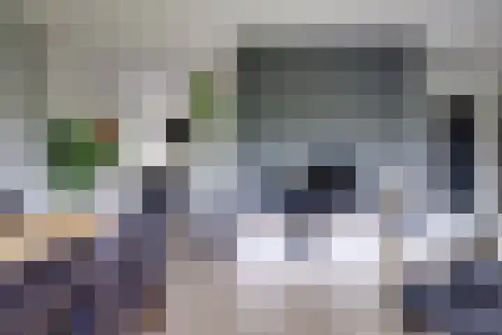 Livingstonelaan 104 Utrecht thumbnail 14