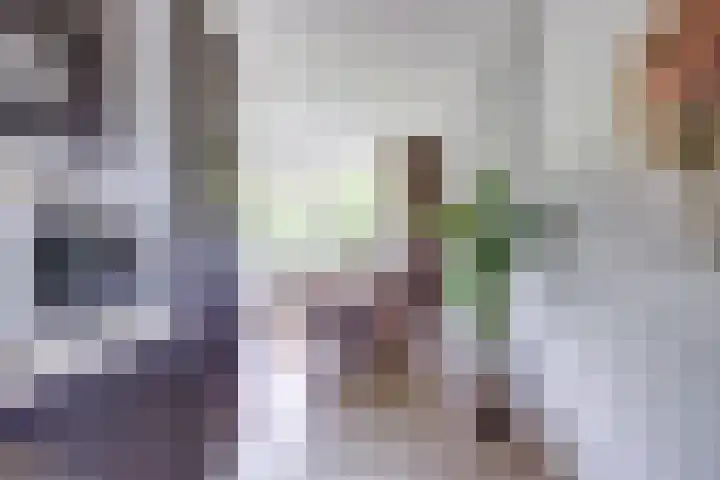 Livingstonelaan 104 Utrecht thumbnail 17