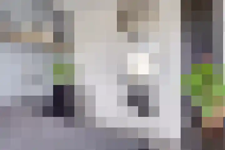 Livingstonelaan 104 Utrecht thumbnail 21