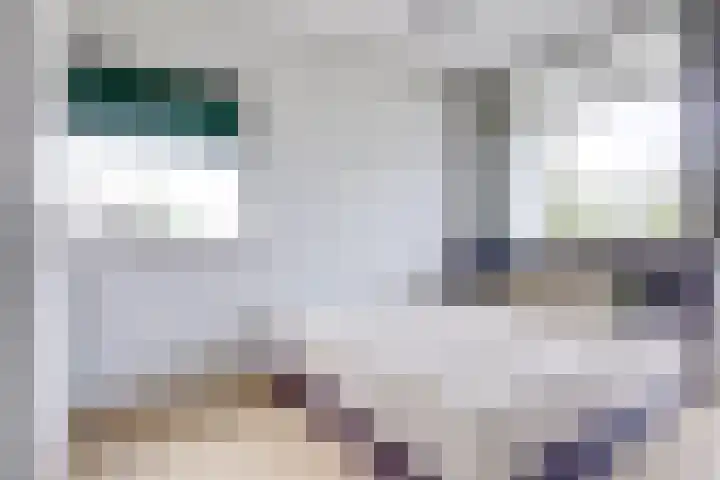 Livingstonelaan 104 Utrecht thumbnail 23