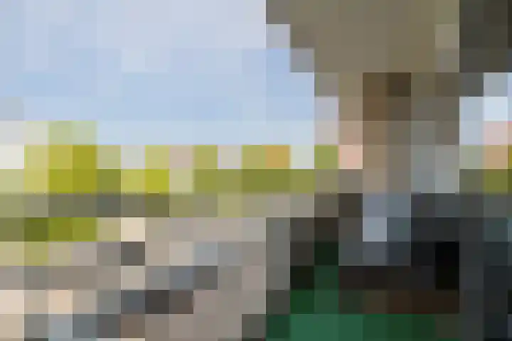 Livingstonelaan 104 Utrecht thumbnail 33