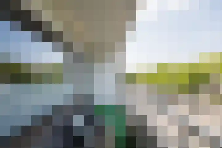 Livingstonelaan 104 Utrecht thumbnail 34