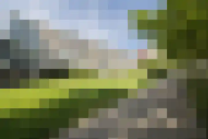 Livingstonelaan 104 Utrecht thumbnail 39