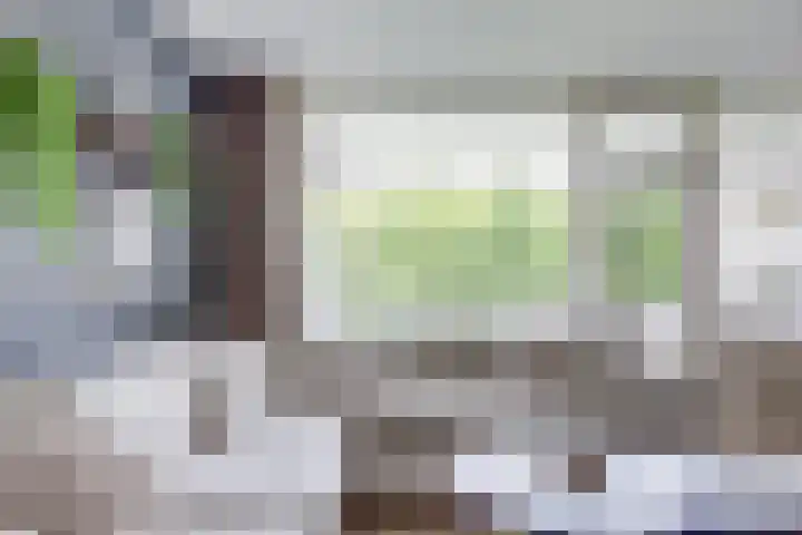 Livingstonelaan 104 Utrecht thumbnail 8