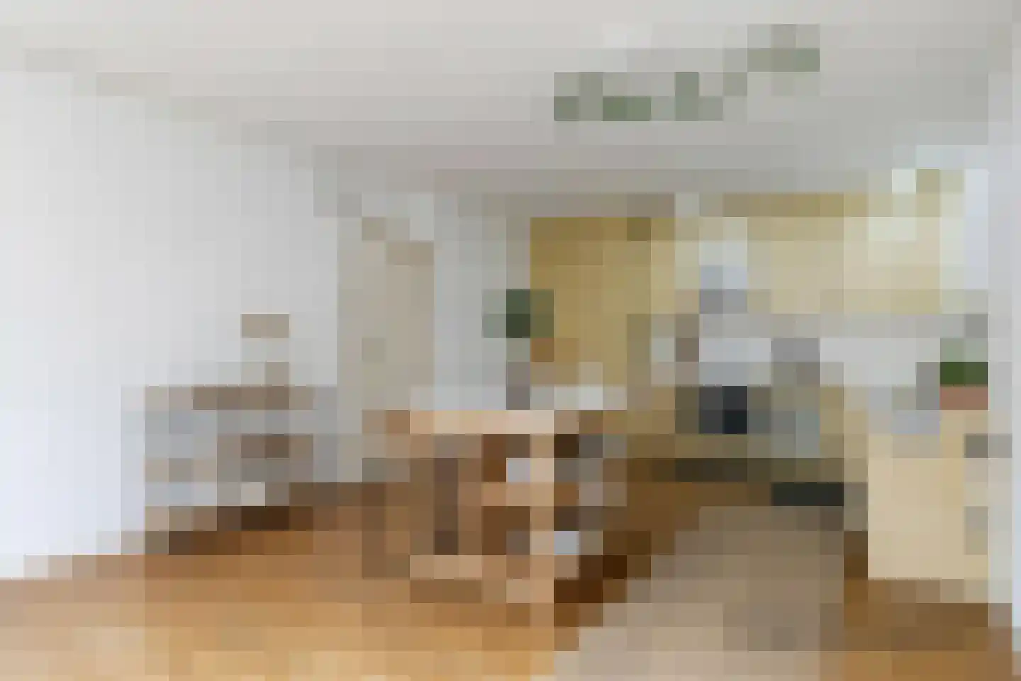 Livingstonelaan 1086 Utrecht thumbnail 7