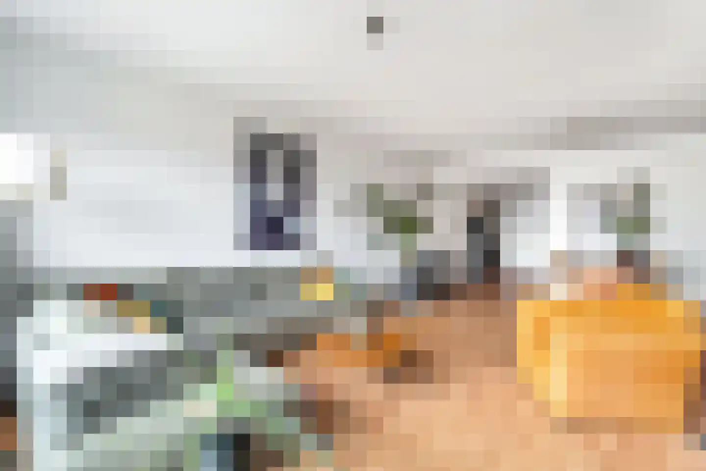Livingstonelaan 1116 Utrecht thumbnail 10