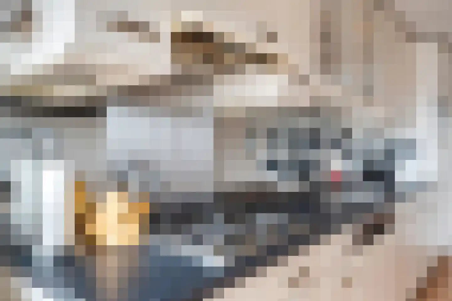 Livingstonelaan 1116 Utrecht thumbnail 16