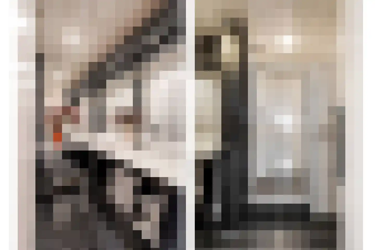 Livingstonelaan 1116 Utrecht thumbnail 27