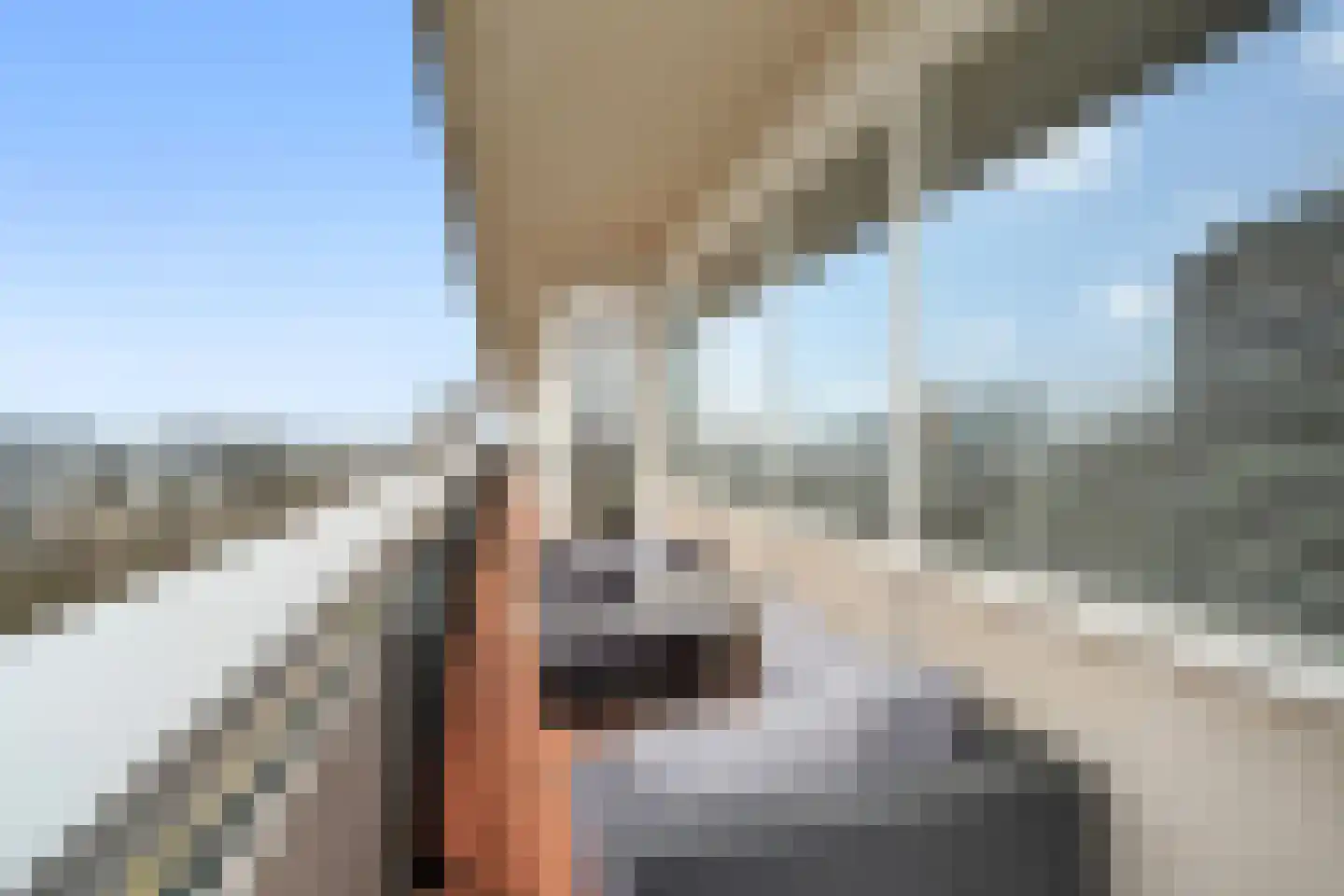 Livingstonelaan 1116 Utrecht thumbnail 30