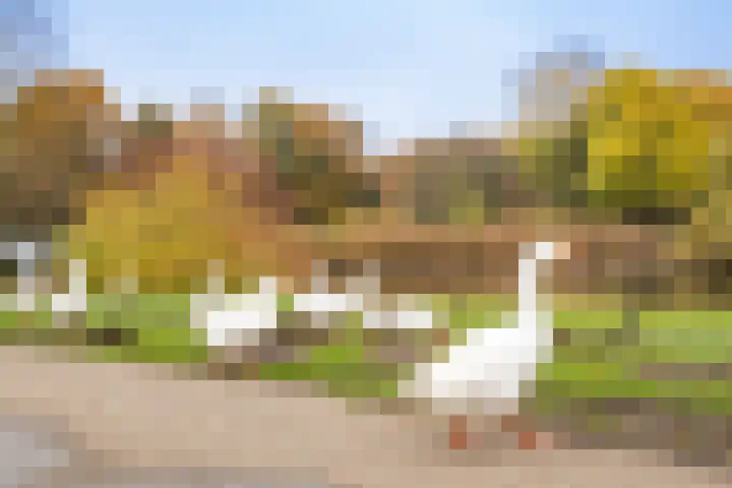 Livingstonelaan 1116 Utrecht thumbnail 36