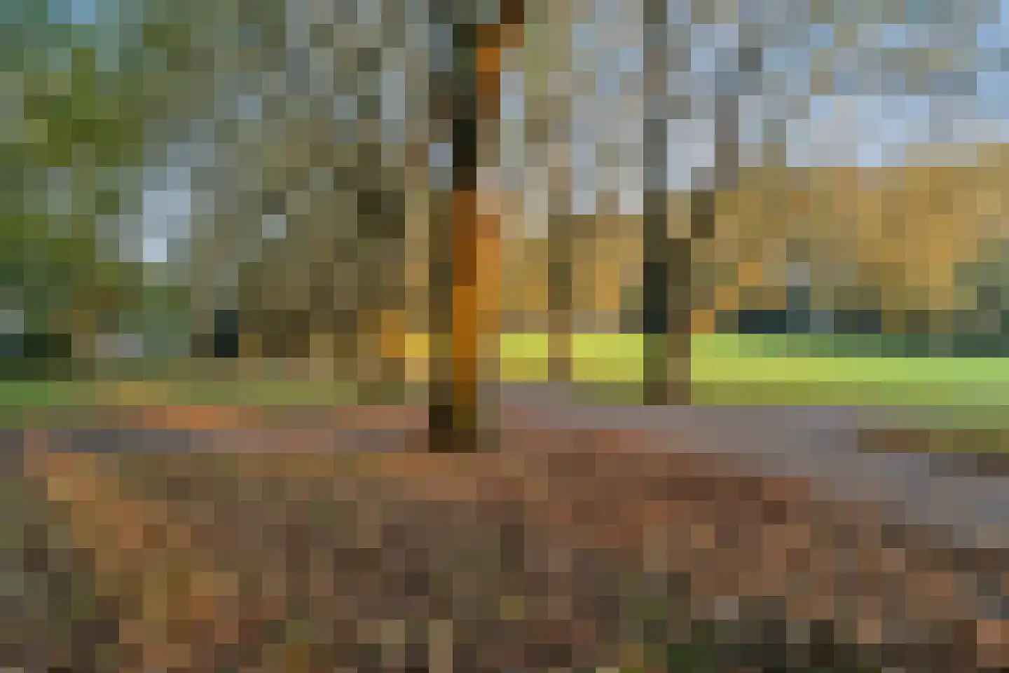 Livingstonelaan 1116 Utrecht thumbnail 37