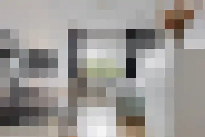 Livingstonelaan 1120 Utrecht thumbnail 13