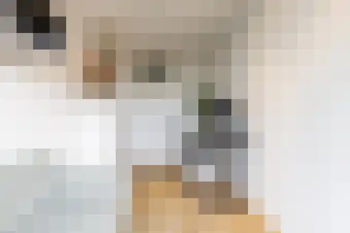 Livingstonelaan 1120 Utrecht thumbnail 14