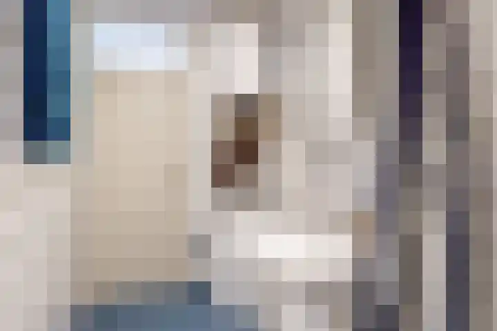 Livingstonelaan 1120 Utrecht thumbnail 16