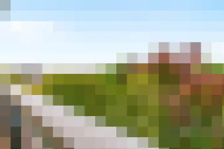 Livingstonelaan 1120 Utrecht thumbnail 19