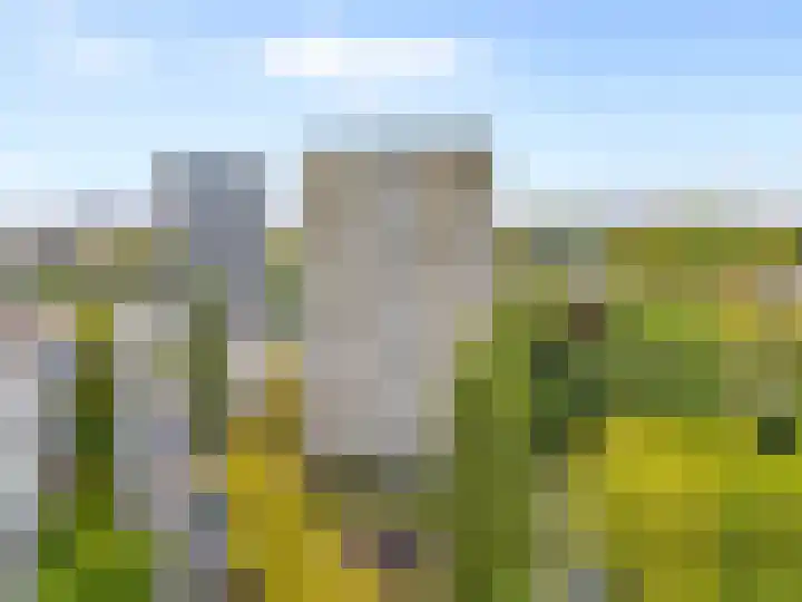 Livingstonelaan 1120 Utrecht thumbnail 23