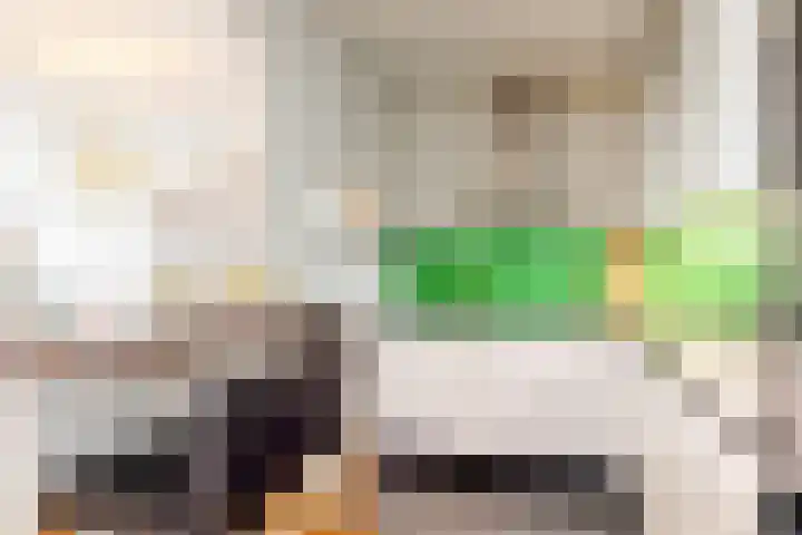 Livingstonelaan 1120 Utrecht thumbnail 4