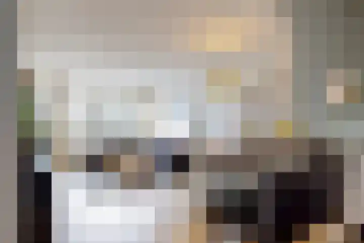 Livingstonelaan 1120 Utrecht thumbnail 5