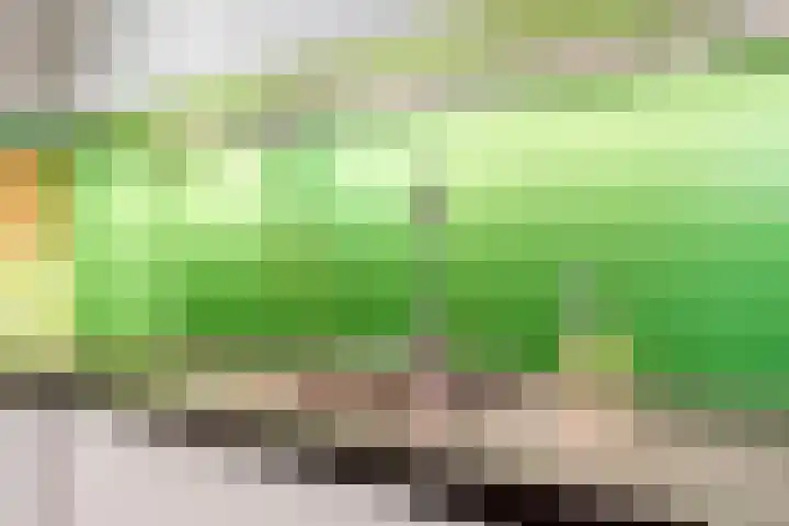 Livingstonelaan 1120 Utrecht thumbnail 7