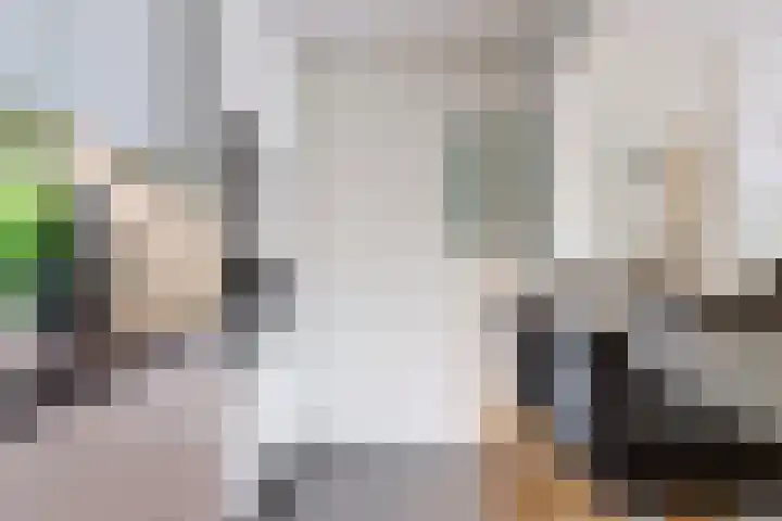 Livingstonelaan 1120 Utrecht thumbnail 8