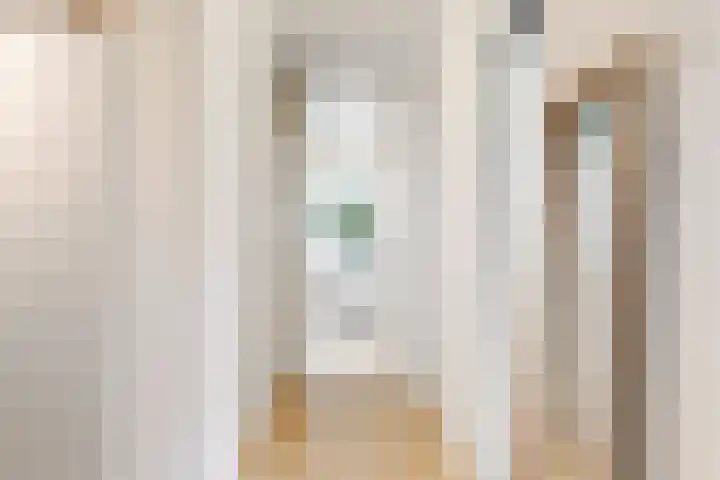 Livingstonelaan 1120 Utrecht thumbnail 9