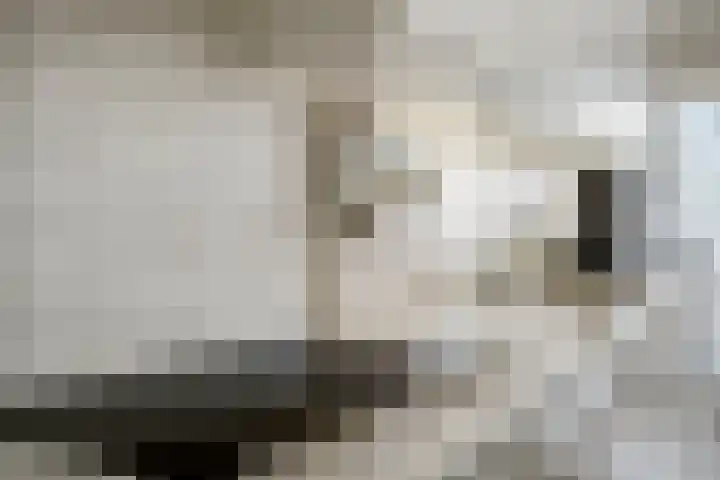 Livingstonelaan 1138 Utrecht thumbnail 10
