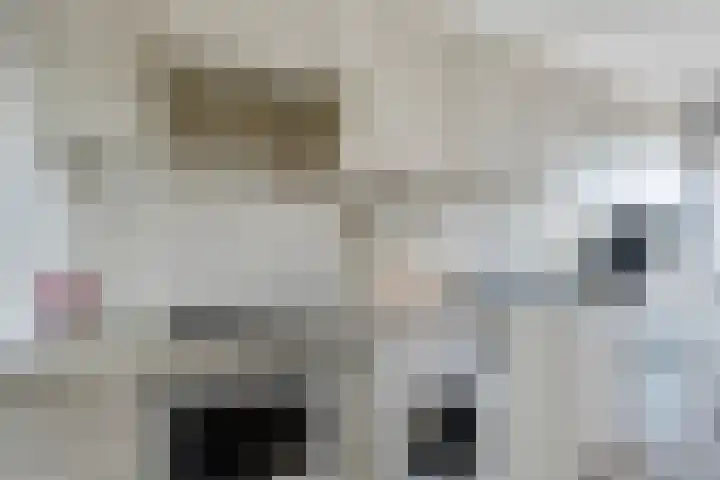 Livingstonelaan 1138 Utrecht thumbnail 11